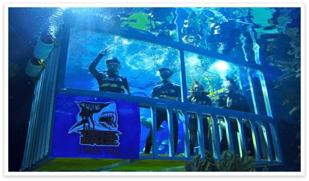 KL Aquarium