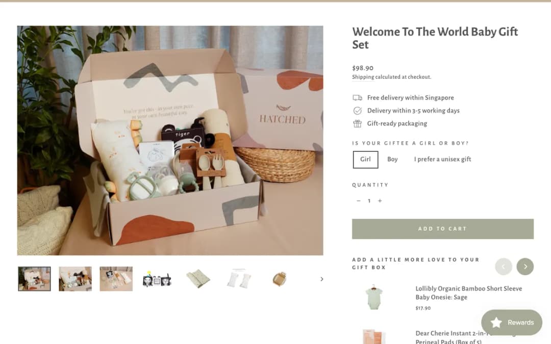 Screenshot of the Welcome To The World Baby Gift Set page on hatchery.com.sg, taken 18 Oct 2026