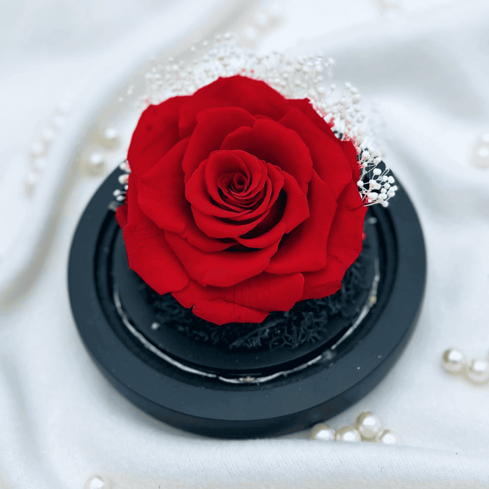 Crimson Red Petite Preserved Flower Dome – red prod crimson, photo 3