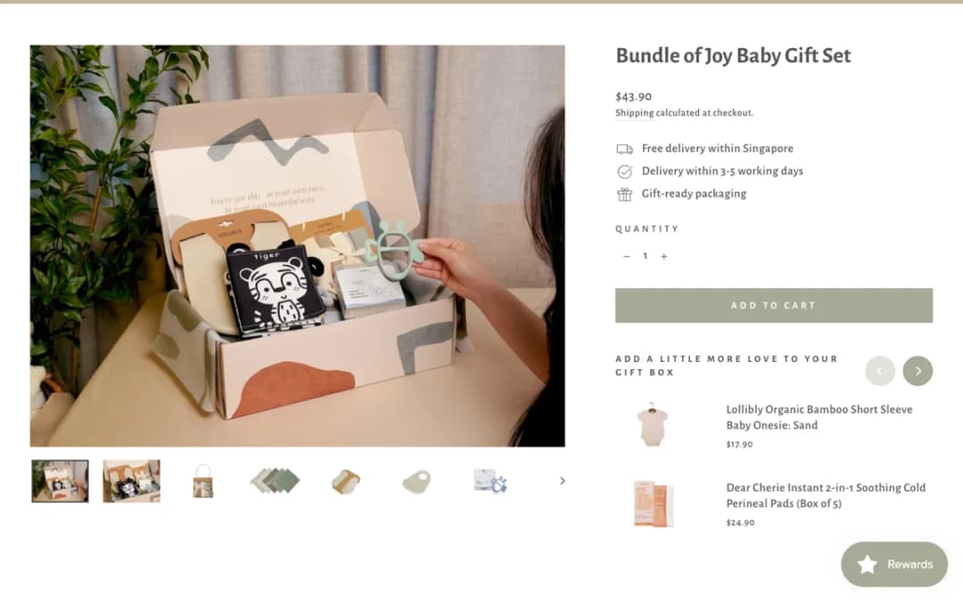 Screenshot of the Bundle of Joy Baby Gift Set page on hatchery.com.sg, taken 18 Oct 2026