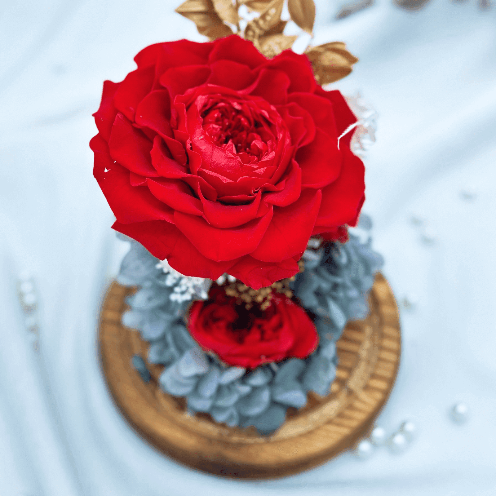 Red Roses Preserved Flower Dome – red prod rose, photo 3