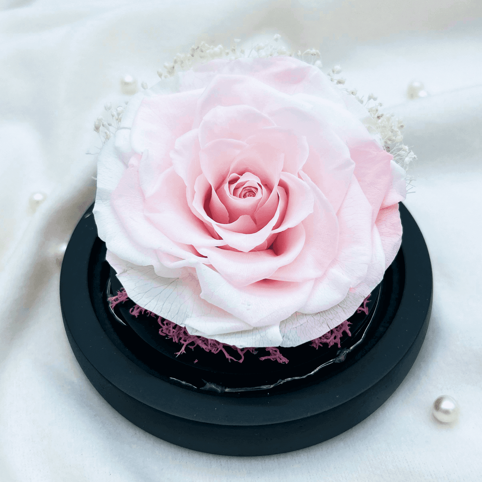 Baby Pink Preserved Flower Dome – pink prod baby, photo 3