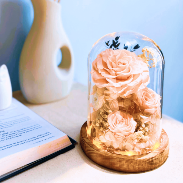 Peach rose preserved flower dome