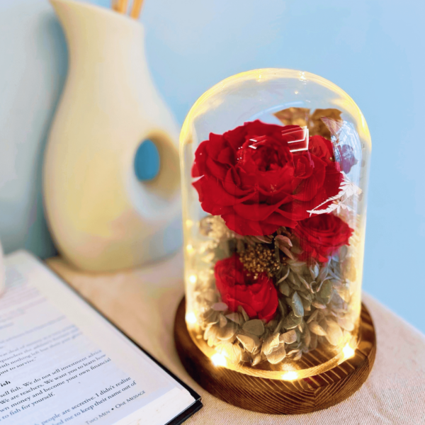 Red roses preserved flower dome