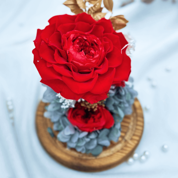 Red roses preserved flower dome