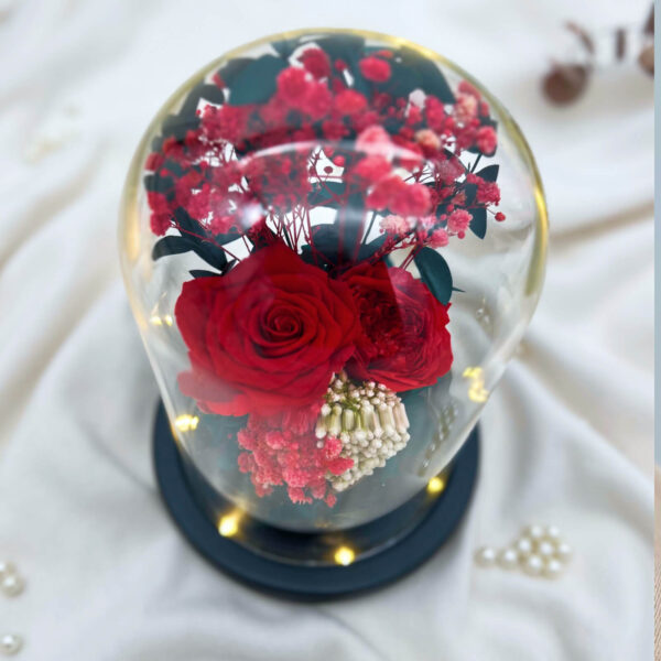 Blissbies preserved flowers typeb red rose 3 ti