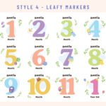 thumbnail-front-romper-milestone-set-12-ti