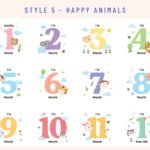 thumbnail-front-romper-milestone-set-style-5-1-ti