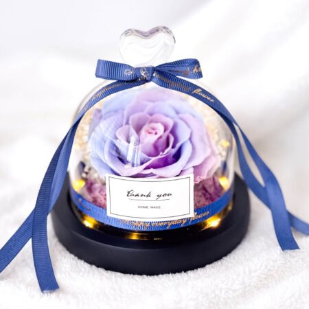 image-p-Baby Blue Preserved Flower Dome-1