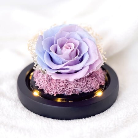 image-p-Baby Blue Preserved Flower Dome-2