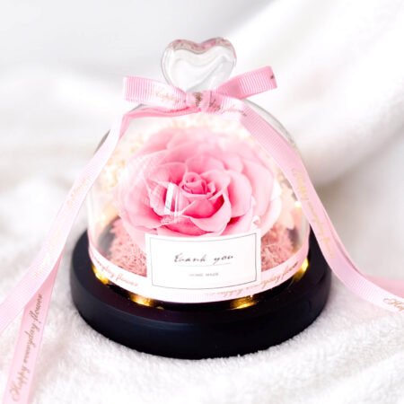 image-p-Baby Pink Preserved Flower Dome-1