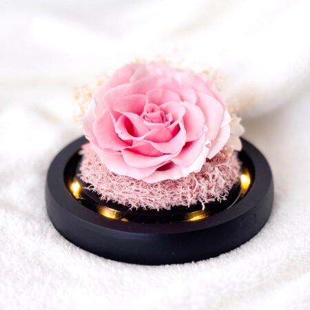 image-p-Baby Pink Preserved Flower Dome-2