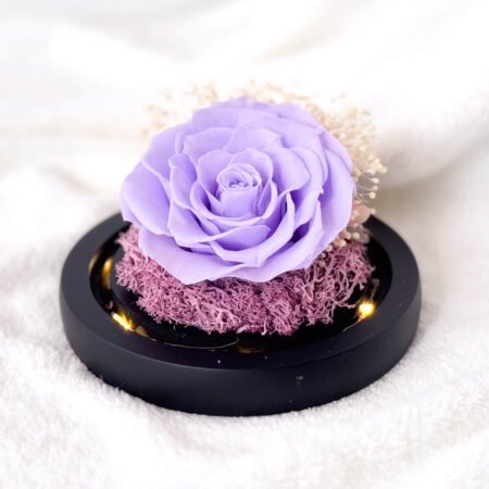 image-p-Lavender Dream Preserved Flower Dome-2