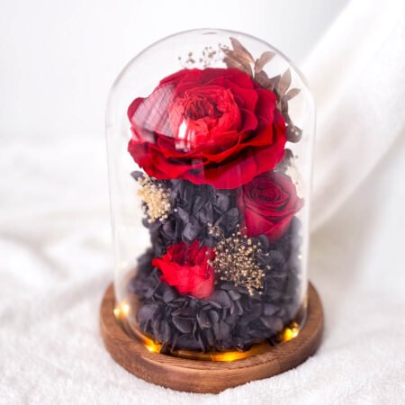 image-p-Red Roses Preserved Flower Dome-1