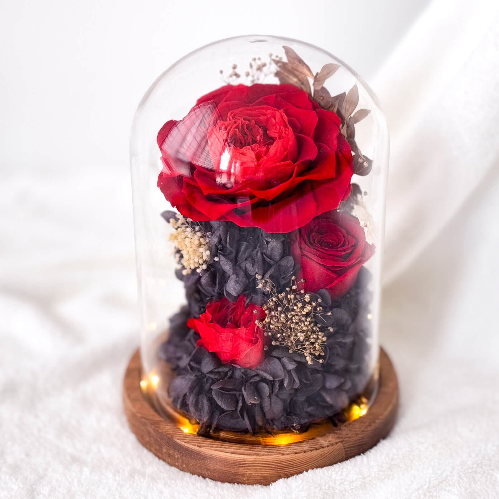 Image p red roses preserved flower dome 1