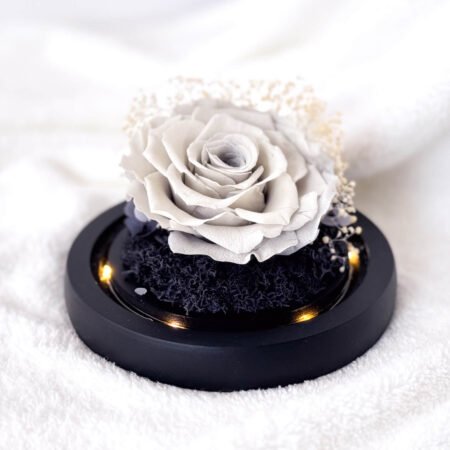 image-p-Silver Mist Preserved Flower Dome-2