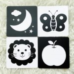 High Contrast Black & White + Colourful Art Cards (80 pcs)
