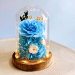 flower-rose-blue-1