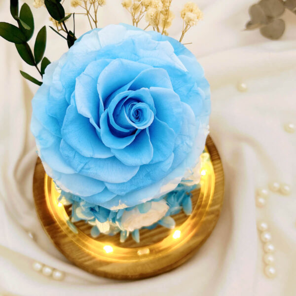 Flower rose blue 3