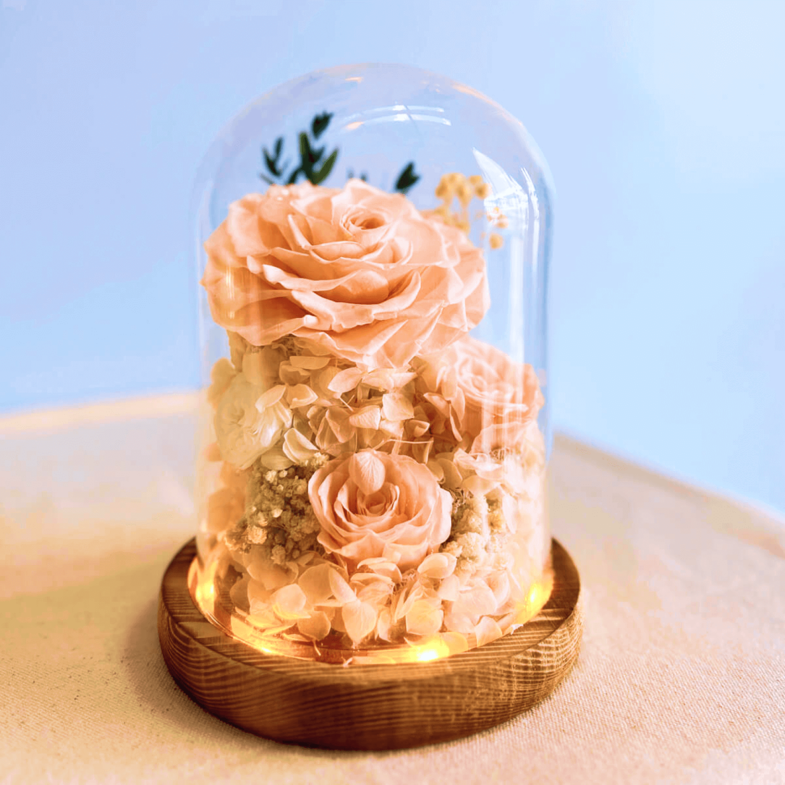 Peach rose preserved flower dome