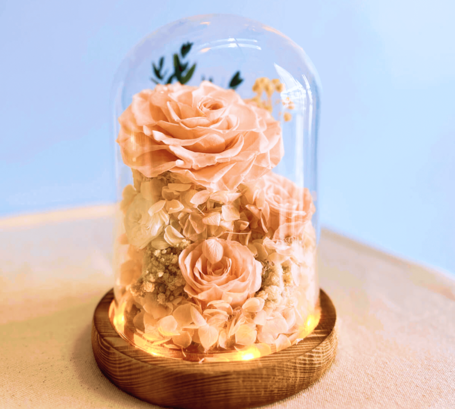 Peach Rose Preserved Flower Dome