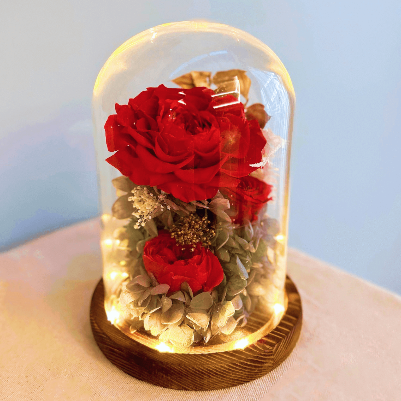 Red roses preserved flower dome