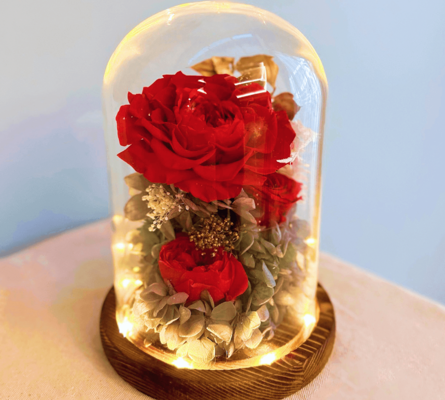 Red Roses Preserved Flower Dome