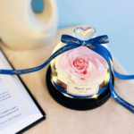 Baby Pink Preserved Flower Dome
