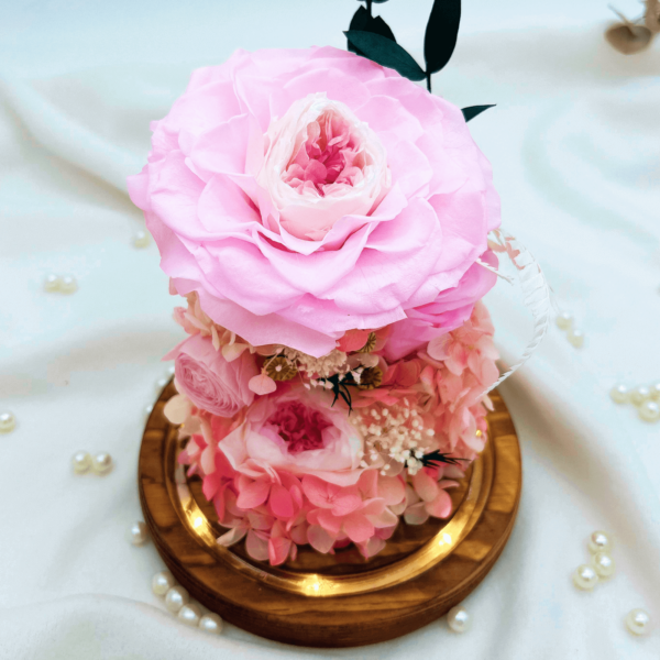 Pink preserved flower dome