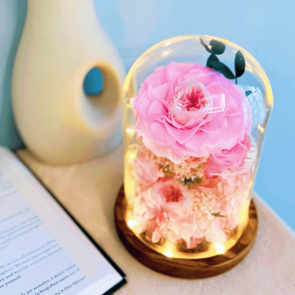 Pink preserved flower dome