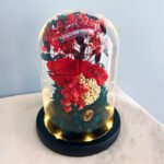 blissbies-preserved-flowers-typeB-red-rose-1-ti