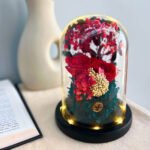 blissbies-preserved-flowers-typeB-red-rose-2-ti